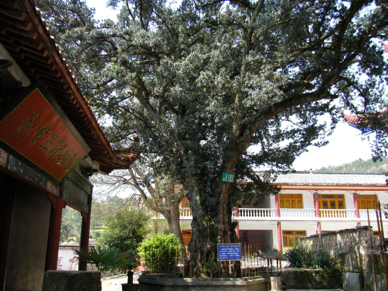 2009_0331_104832.jpg