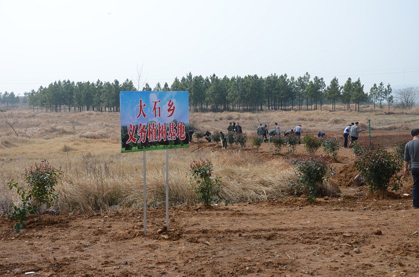 大石植村人口多少_丹乡论坛,垫江新闻网,垫江论坛,大石乡春耕打技术牌,确保农