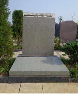 文竹苑七区中农青.JPG