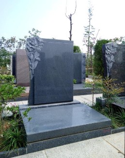 文竹苑七区654#.JPG