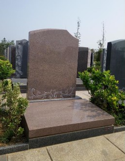 文竹苑七区齐鲁红.JPG