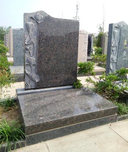 文竹苑七区英国棕.JPG