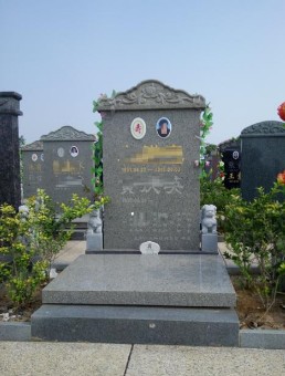 文竹苑六区中农青.JPG
