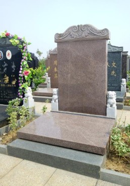 文竹苑六区齐鲁红.JPG