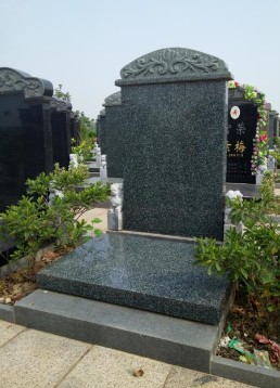 文竹苑六区森林绿.JPG