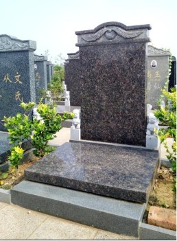 文竹苑六区英国棕.JPG