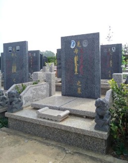 龙柏苑二区.JPG