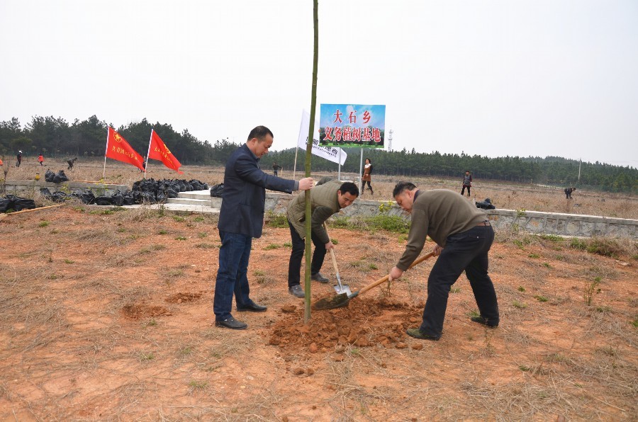 大石植村人口多少_丹乡论坛,垫江新闻网,垫江论坛,大石乡春耕打技术牌,确保农(2)