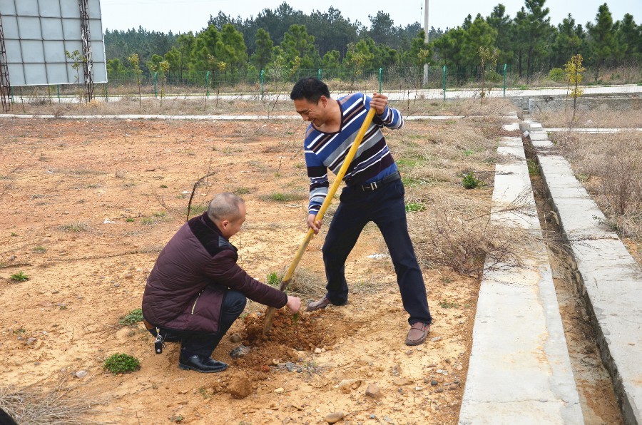 大石植村人口多少_丹乡论坛,垫江新闻网,垫江论坛,大石乡春耕打技术牌,确保农