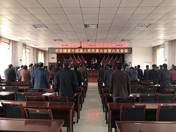 丰乐镇召开第十四届人民代表大会第六次会议