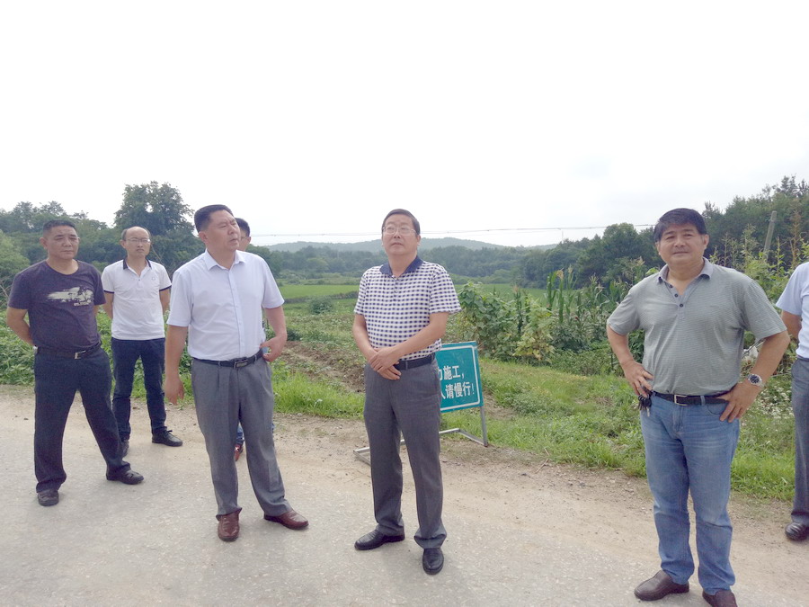 陈时彪实地调研县级道路畅通工程江城线项目 - 太湖文明网