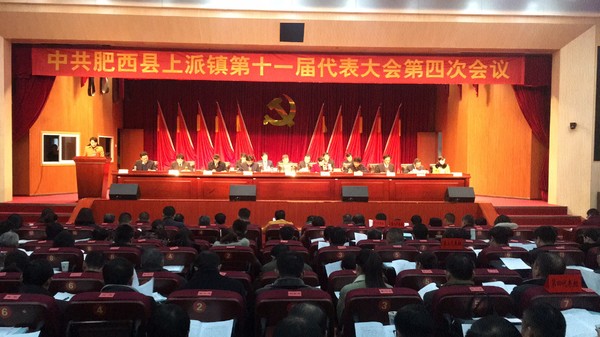中共上派镇第十一届代表大会第四次会议顺利召开
