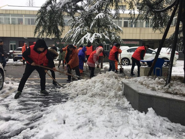 严店乡干群合力抗雪.jpg