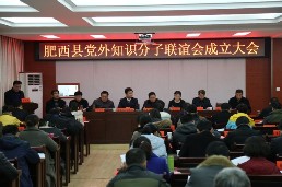 肥西县党外知识分子联谊会正式成立