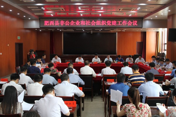 肥西县非公企业和社会组织党建工作会议.JPG