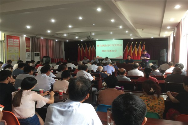 桃花镇各社区召开党员和村民代表大会_副本.jpg