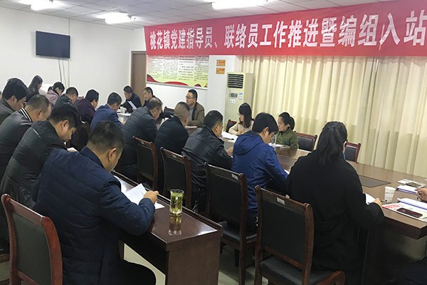 桃花镇党建指导员、联络员工作推进暨编组入站布置会_副本.jpg