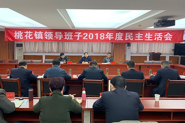 成忠指导桃花镇召开2018年度领导班子民主生活会_副本.jpg