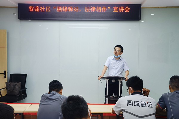 紫蓬.jpg
