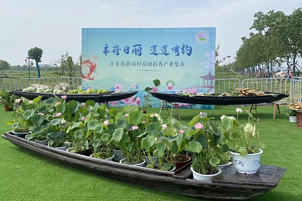 丰乐镇蒋岗村集体经济 (2) (31941).jpg