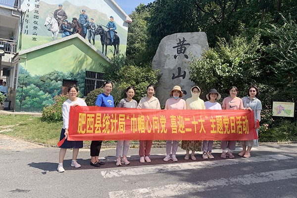 肥西县统计局开展“巾帼心向党 喜迎二十大”主题党日活动 (15568).jpg