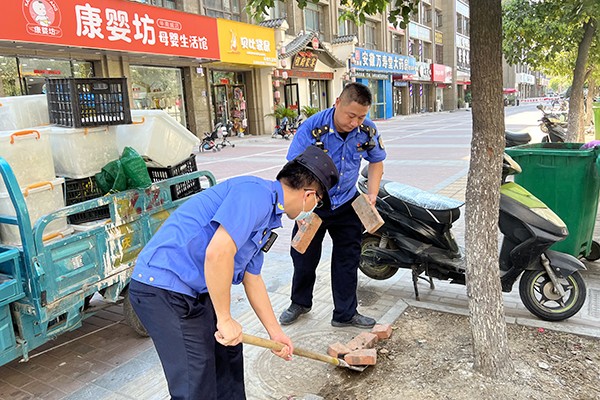 肥西县城管局：“根系工程”助力城市管理再上新台阶2 (10741).jpg