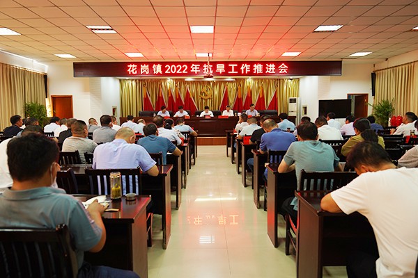 花岗镇：党建引领“三抓三强” 打好抗旱保收攻坚战3 (10439).jpg