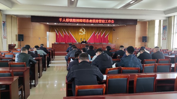 精神障碍患者摸排管控会议.jpg