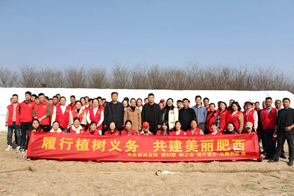 3.12修改-丰乐镇.jpg
