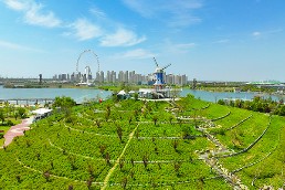 肥西县：“春日经济”激发农文旅融合发展新活力