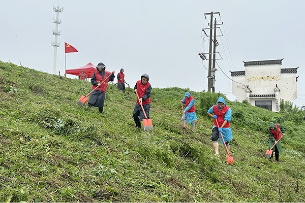 受降雨影响，赵小河水位上涨，7月12日下午，花岗镇大黄村组织村“两委”、党员志愿者对重点堤防区赵小河黄小圩范围内进行堤防巡查、除草、确保圩区内群众生产生活不受影响64.jpg