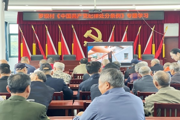 紫蓬64.jpg