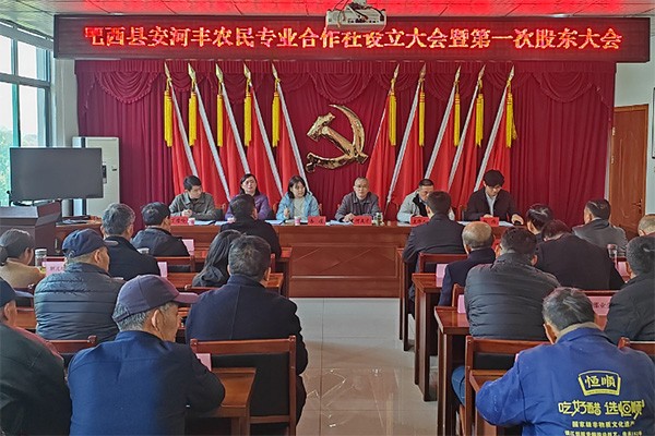 丰乐镇推行党组织领办合作社64.jpg