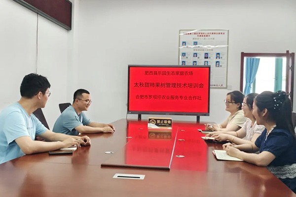 紫蓬镇：党建领航“三链”融合 激活农业新质生产力