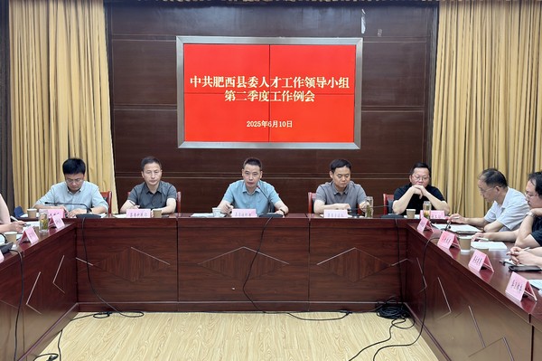 肥西县召开二季度人才工作例会64.jpg