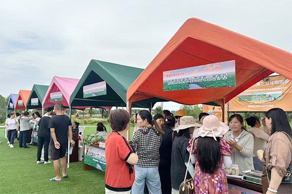 丰乐镇：党组织领办合作社激活“村晚”能量