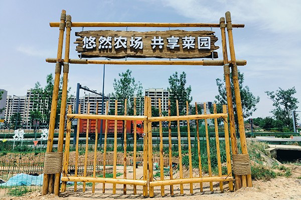 柿树岗乡中洋村:党建引领激活产业发展新动力64.jpg