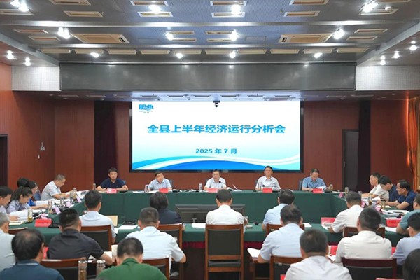 全县上半年经济运行分析会召开64.jpg