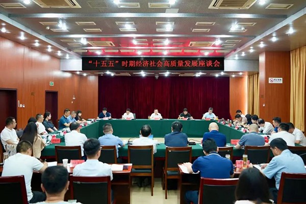 共谋发展 共话未来 肥西县“十五五”时期经济社会高质量发展座谈会召开