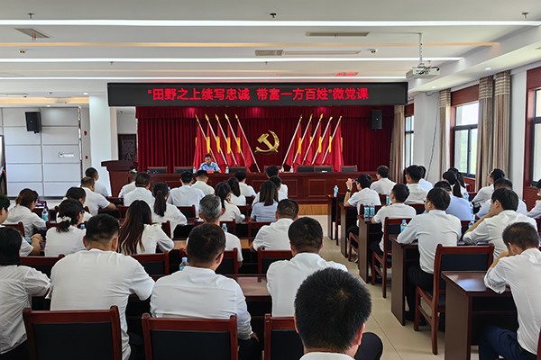 肥西县：三“味”党课助力党员教育走“新”入“心”