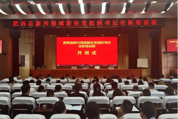 肥西县：举办新兴领域新任党组织书记任职培训班