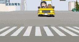 11.gif