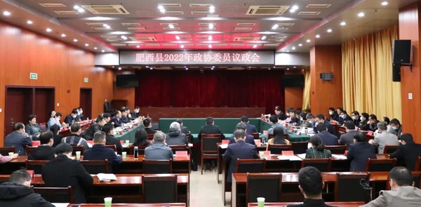 肥西县召开2022年政协委员议政会