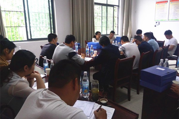 撮镇镇现场会_副本.jpg