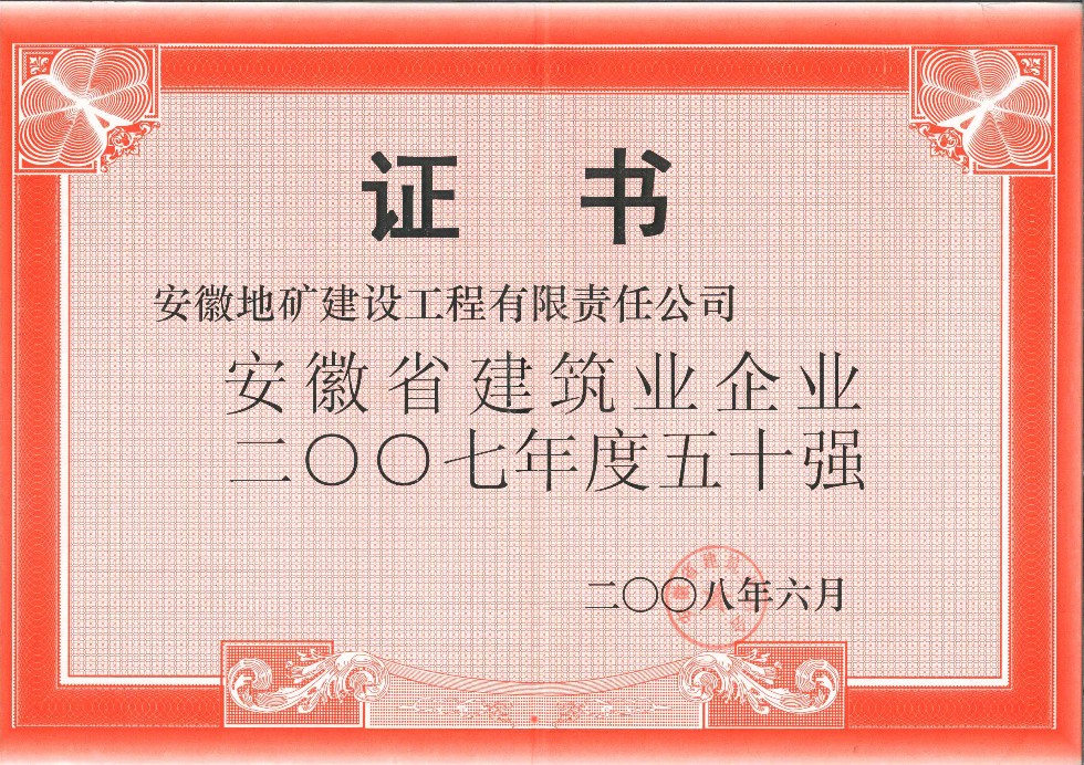 2007年安徽省50强企业.jpg