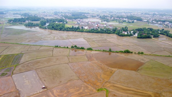 DJI_0559_副本.jpg
