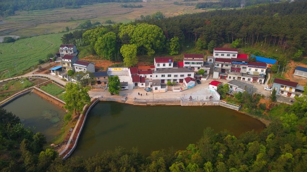 DJI_0315.JPG