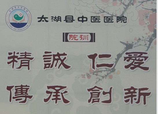 中医院院训.png