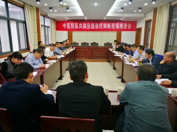 中医院医共体分级诊疗刘畈现场推进会1.jpg