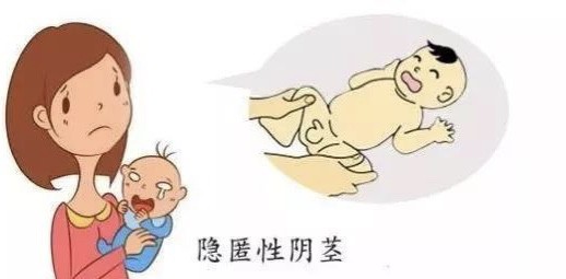 微信图片_20200725101042.png
